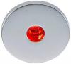 Apus-R, Chrome, 1 x 5mm Red LED, 10-30VDC, IP67''