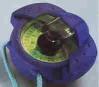 Iris50Blue.JPG
