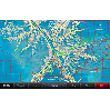 Garmin Standard Mapping