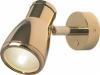 Munich, Gold w/ Gold Metal Shade & Switch, Built-in Dimmer, 3 x 1W Warm White LEDs, 11-30VDC