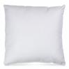 Ciniglia Outdoor Decorative Accent Throw Pillow, 20 x 20