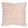 Pico Outdoor Decorative Accent Throw Pillow, 20 x 20